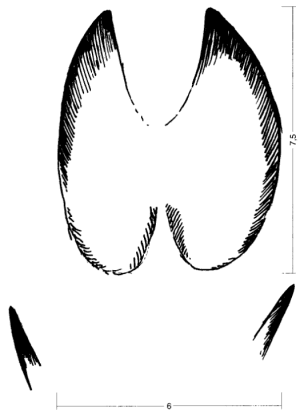 Oтпечаток передней ноги самки кабана